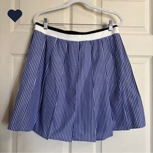 Uniqlo X JW ANDERSON Blue and White Striped Pleated A-Line Mini Skirt
